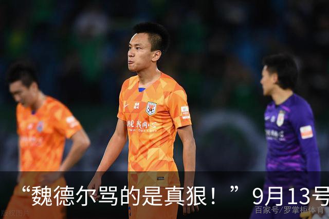 “魏德尔骂的是真狠！”9月13号，魏德尔在奥地利电视台放话：