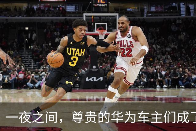 一夜之间，尊贵的华为车主们成了东风小康车主了。