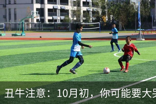 丑牛注意：10月初，你可能要大哭一场，这是晚年的一课