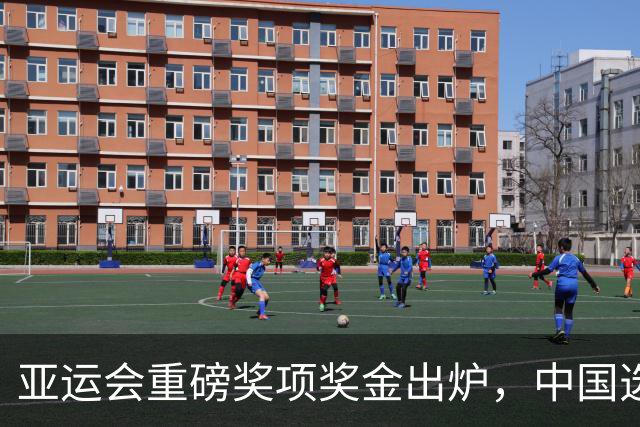 亚运会重磅奖项奖金出炉，中国选手成热门人选，张展硕基本稳了
