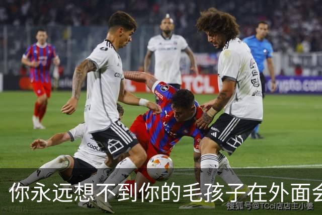 你永远想不到你的毛孩子在外面会被叫什么！网友：坚果被叫建国…
