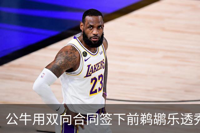公牛用双向合同签下前鹈鹕乐透秀，他还能重新证明自己吗？