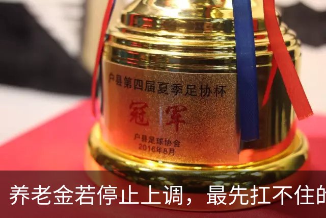 养老金若停止上调，最先扛不住的不会是退休人员，而是灵活就业的