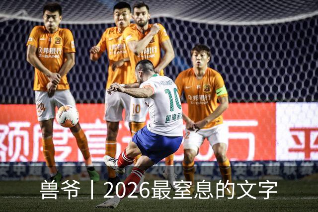 兽爷丨2026最窒息的文字