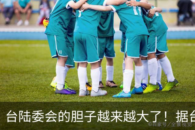 台陆委会的胆子越来越大了！据台《联合报》报道