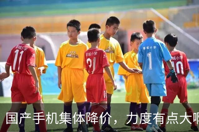 国产手机集体降价，力度有点大啊！