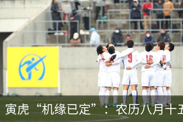寅虎“机缘已定”：农历八月十五，周五，生活将迎来一次大洗牌