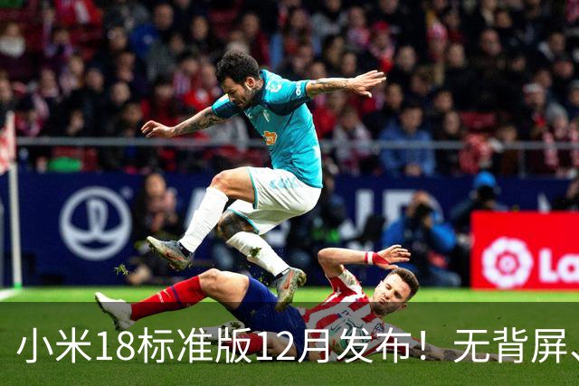 小米18标准版12月发布！无背屏、无防窥屏