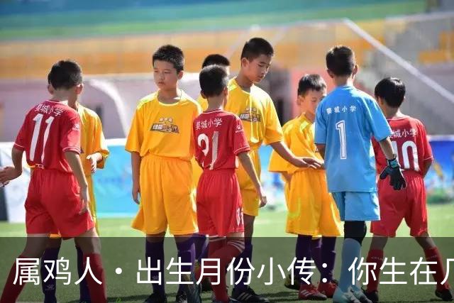 属鸡人·出生月份小传：你生在几月，就藏着你那身不肯乱的羽毛