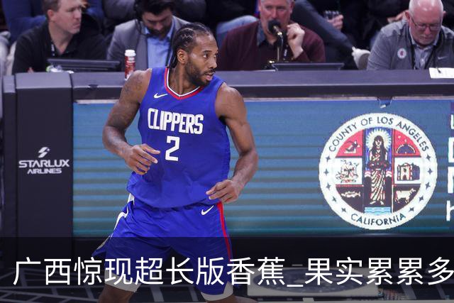 广西惊现超长版香蕉 果实累累多达数百个