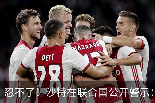 忍不了！沙特在联合国公开警示：有人假谈和平，暗中给胡塞送装备