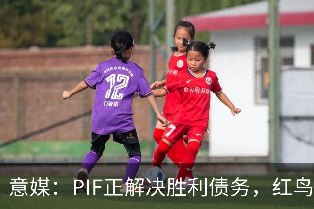 意媒：PIF正解决胜利债务，红鸟拟收购其70%股份，C罗或持股20%