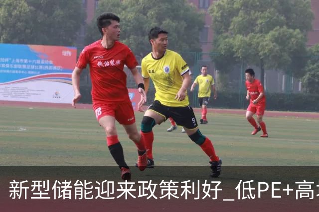 新型储能迎来政策利好 低PE+高增长潜力股出炉