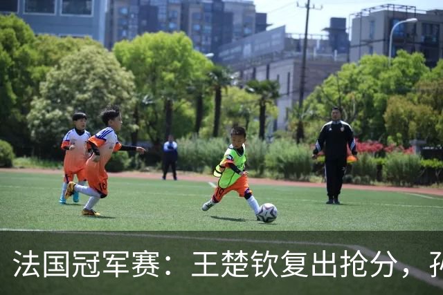 法国冠军赛：王楚钦复出抢分，孙颖莎确认参赛，林诗栋带伤连轴转