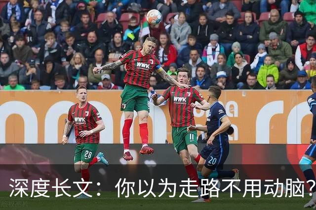 深度长文：你以为走路不用动脑？你的身体一直在实时解方程！