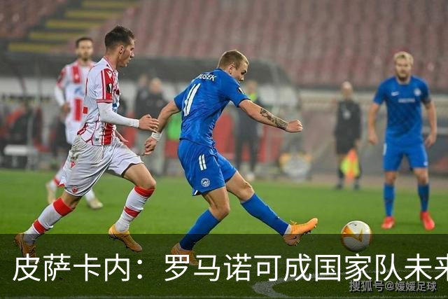 皮萨卡内：罗马诺可成国家队未来