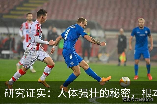 研究证实：人体强壮的秘密，根本不是肌肉！而是这几样东西