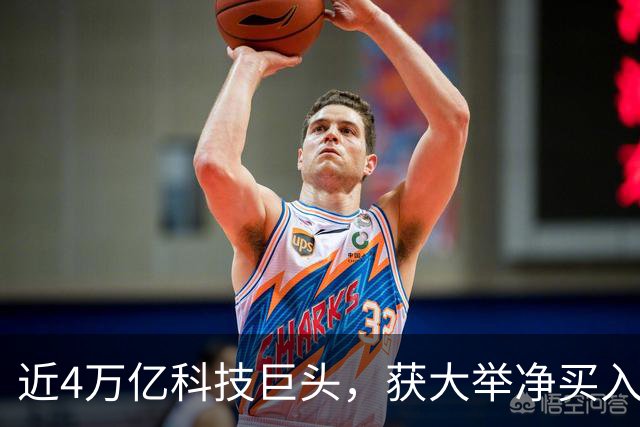 近4万亿科技巨头，获大举净买入！