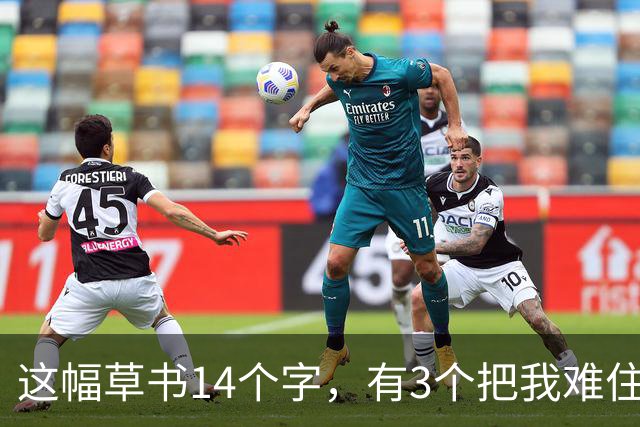 这幅草书14个字，有3个把我难住了！你能全读通吗？学一位书家草书，怎样分清"通用写法"和"个人习惯"？