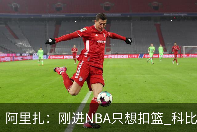 阿里扎：刚进NBA只想扣篮 科比等人不断催我投篮才建立信心转型3D