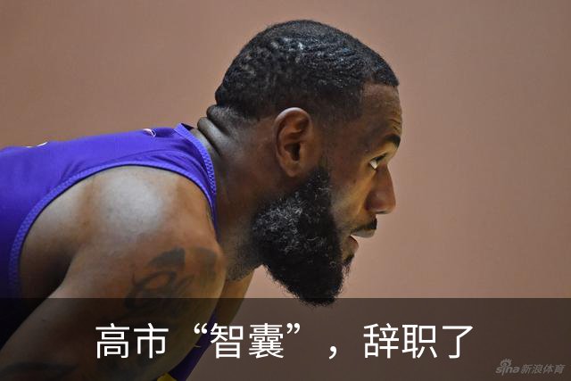 高市“智囊”，辞职了