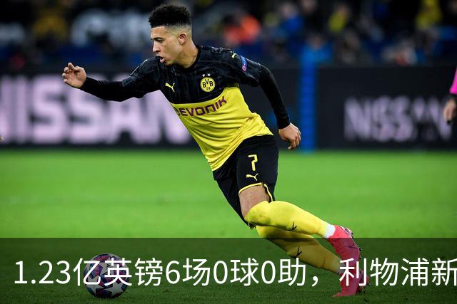 1.23亿英镑6场0球0助，利物浦新援尚未证明自己