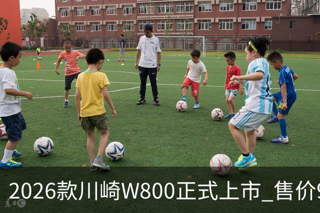 2026款川崎W800正式上市 售价9.98万元