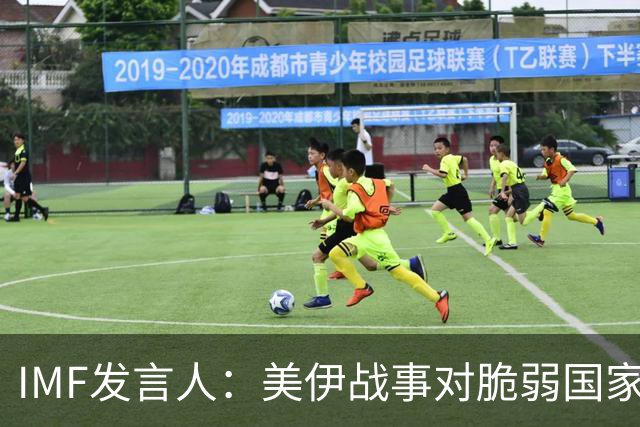 IMF发言人：美伊战事对脆弱国家经济影响令人担忧