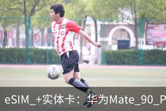 eSIM +实体卡：华为Mate 90 Pro Max旗舰手机官宣业界首发四卡三待功能